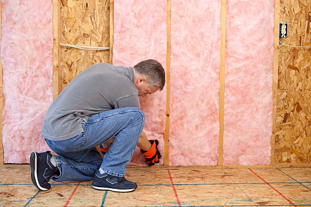 Best Local Insulation Services  in Hansen, ID